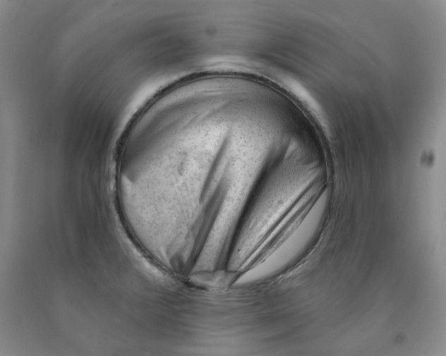 X0000089911376200707271705