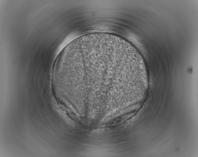 X0000089911378200707271705