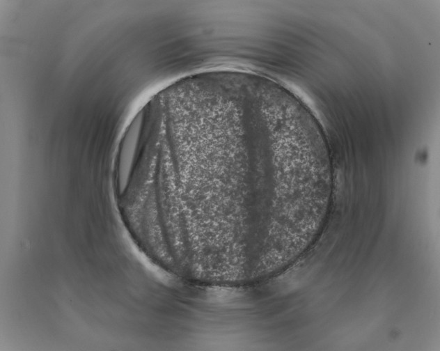 X0000089911379200707271705