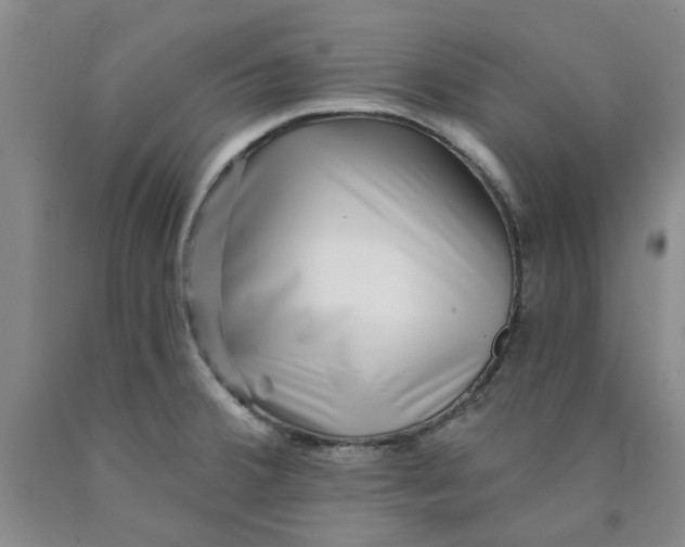 X0000089911380200707271705