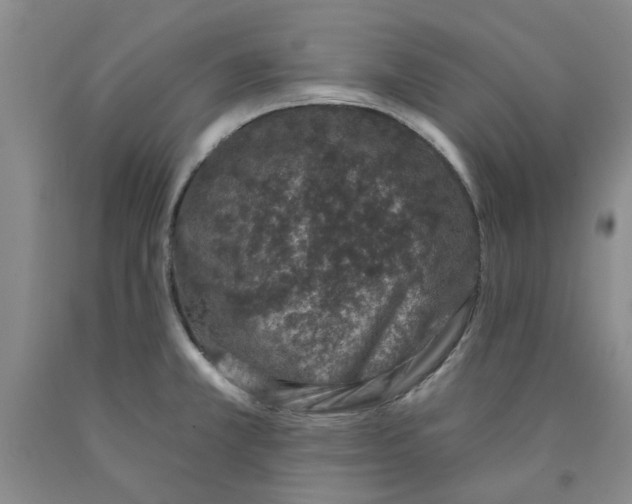 X0000089911381200707271705