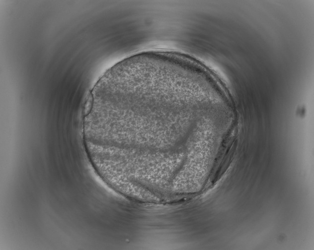 X0000089911382200707271705