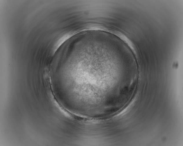 X0000089911385200707271705