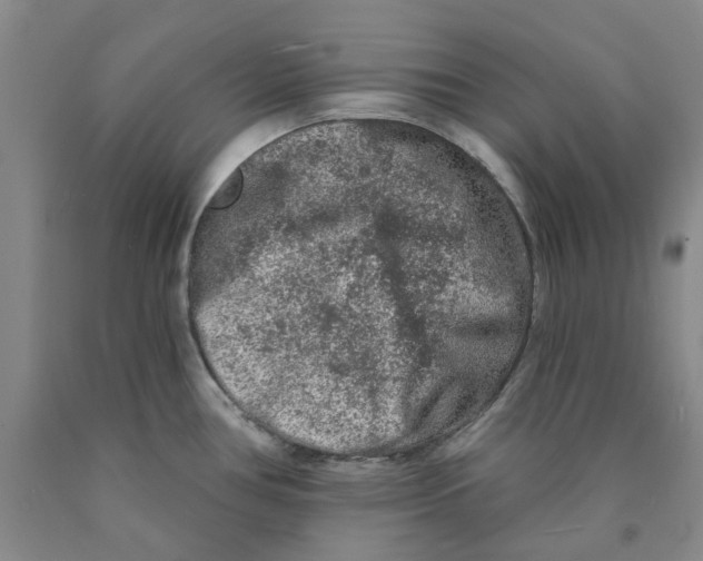 X0000089911386200707271705