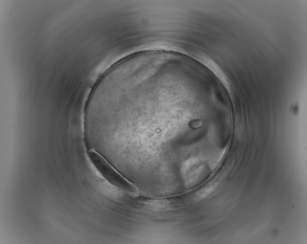 X0000089911388200707271705