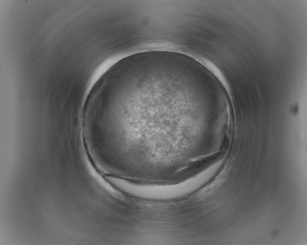 X0000089911389200707271705