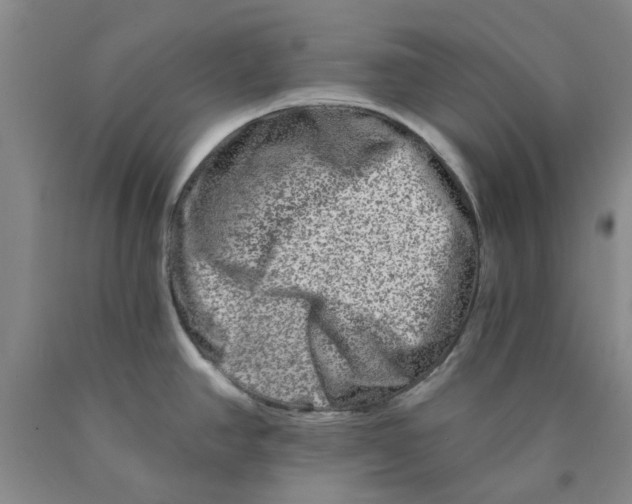 X0000089911390200707271705