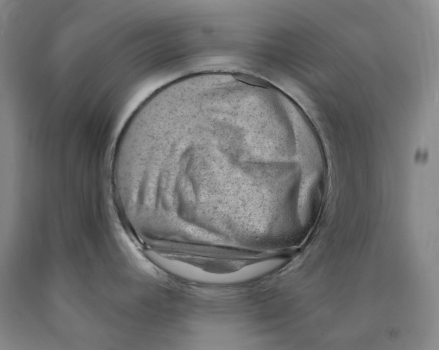 X0000089911392200707271705