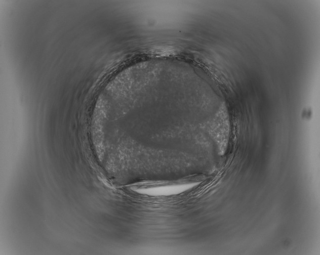 X0000089911393200707271704