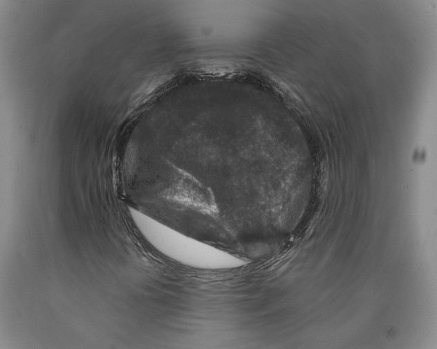 X0000089911394200707271704