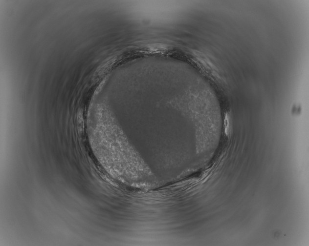 X0000089911395200707271704