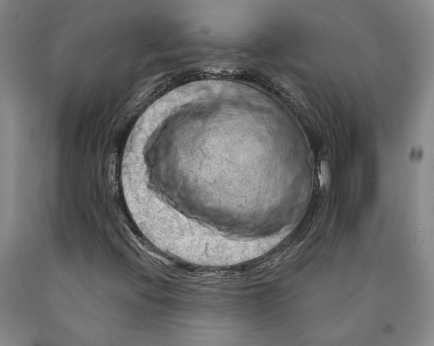 X0000089911396200707271704