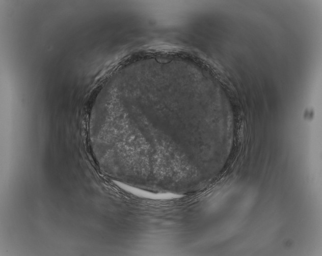 X0000089911397200707271704