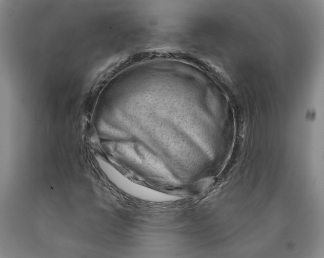 X0000089911398200707271704