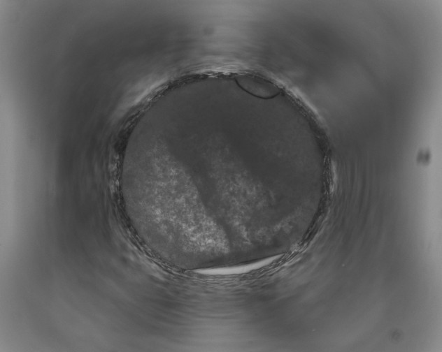 X0000089911399200707271704