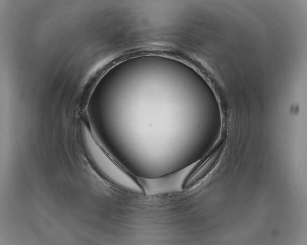 X0000089911402200707271705