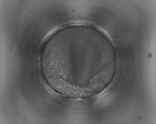 X0000089911403200707271705