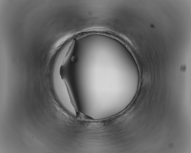 X0000089911406200707271705