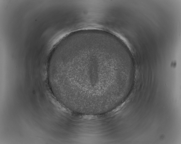 X0000089911407200707271705