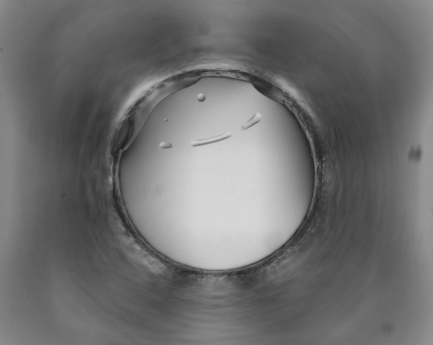 X0000089911408200707271705