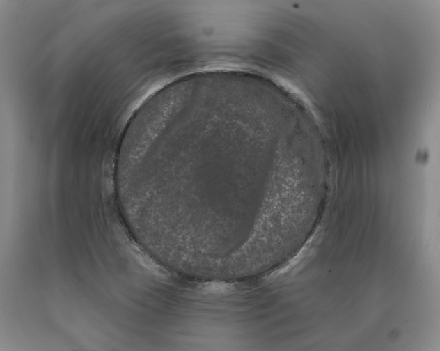 X0000089911409200707271705