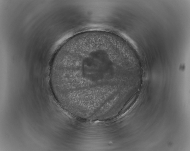 X0000089911411200707271705