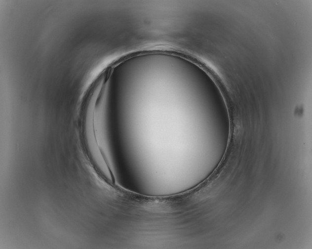 X0000089911414200707271705