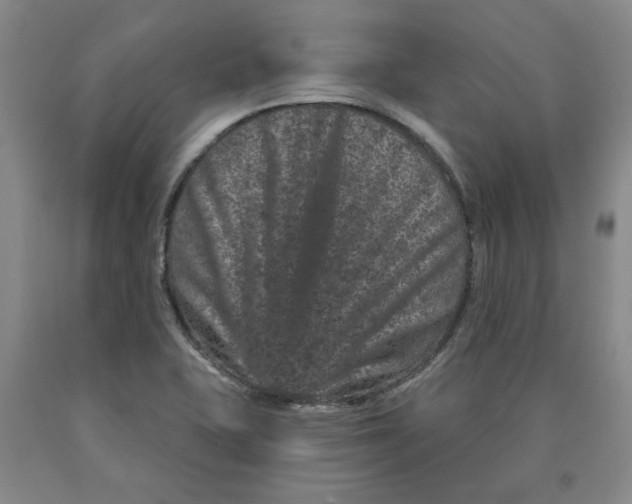 X0000089911415200707271705