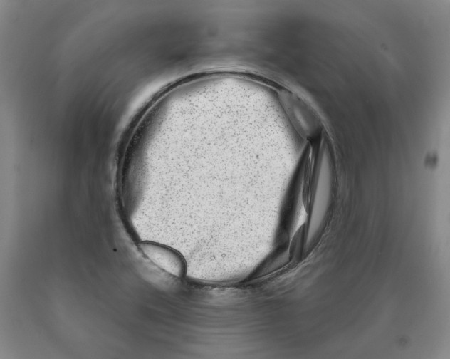 X0000089911416200707271705