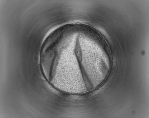 X0000089911420200707271705