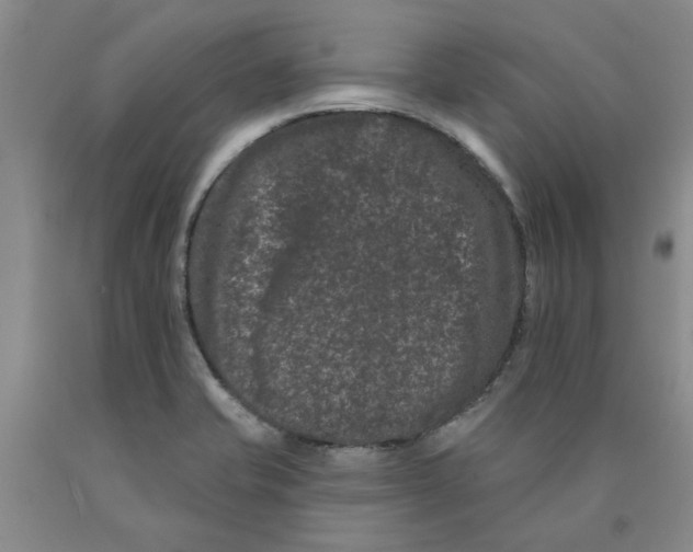 X0000089911421200707271705