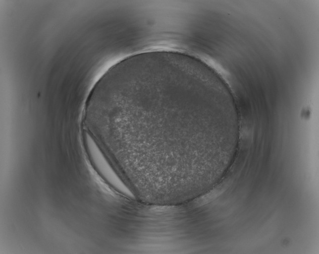 X0000089911423200707271705