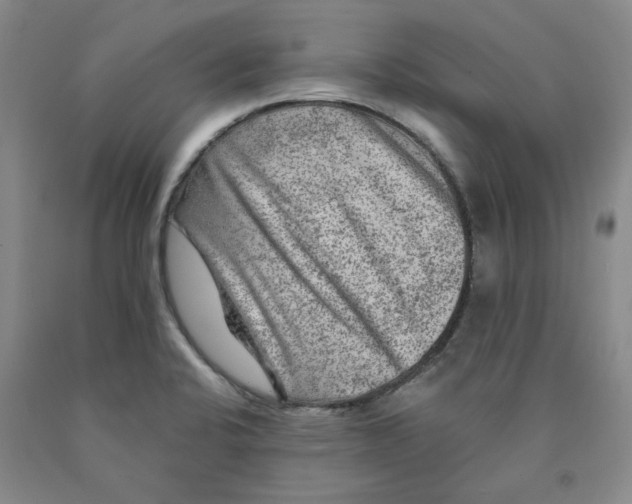 X0000089911424200707271705