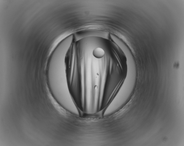 X0000089911426200707271705