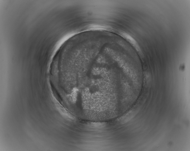 X0000089911427200707271705