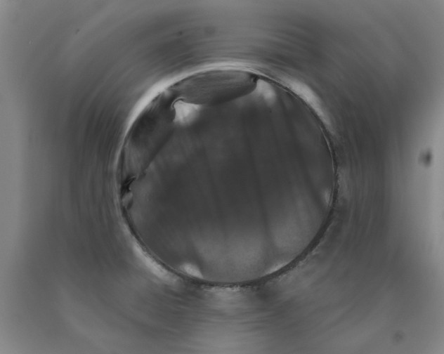 X0000089911428200707271705