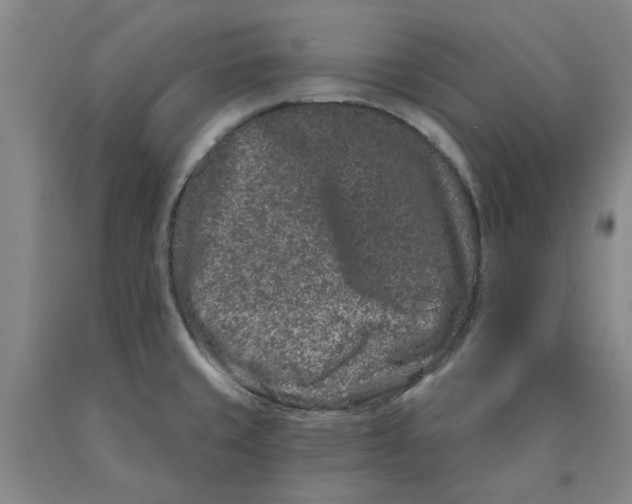 X0000089911429200707271705