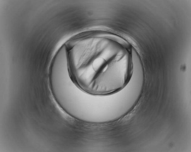 X0000089911430200707271705