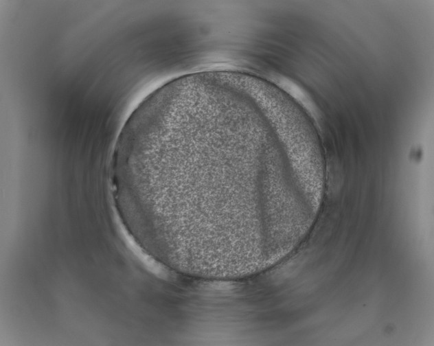 X0000089911431200707271705