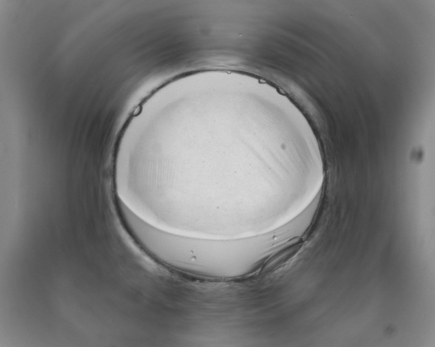 X0000089911432200707271705