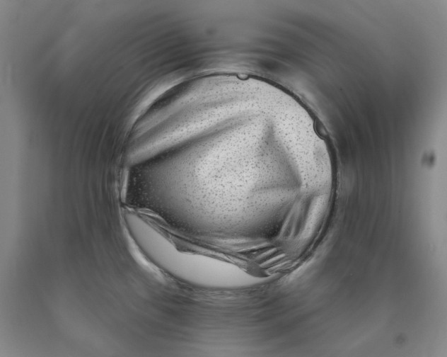 X0000089911433200707271705