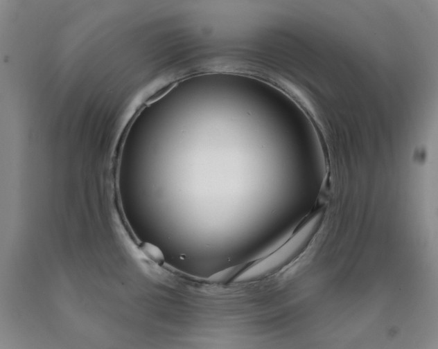 X0000089911434200707271705