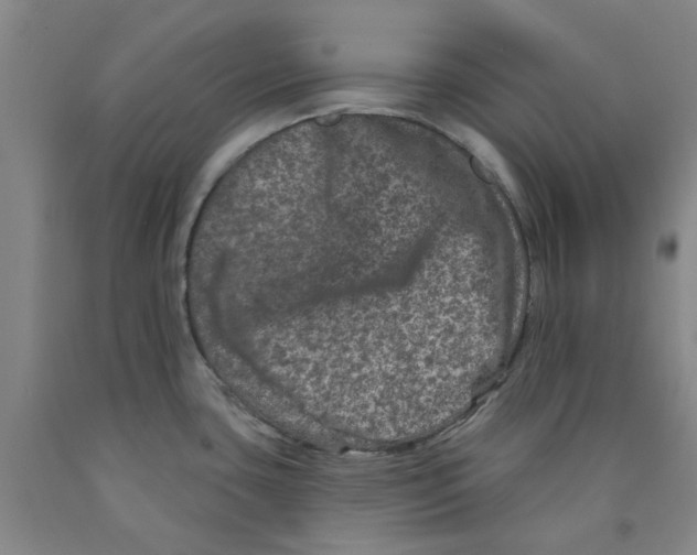 X0000089911435200707271705