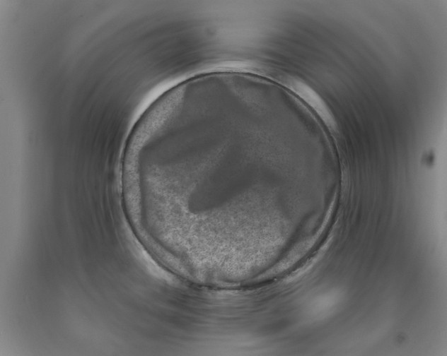 X0000089911436200707271705