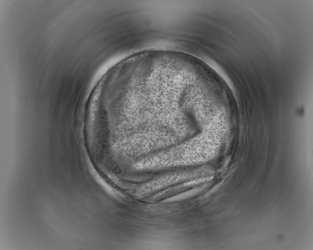 X0000089911437200707271705