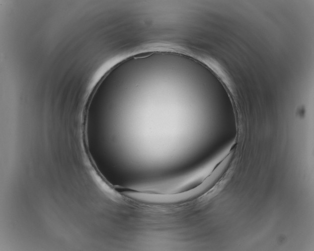 X0000089911438200707271705