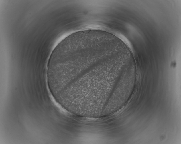 X0000089911439200707271705