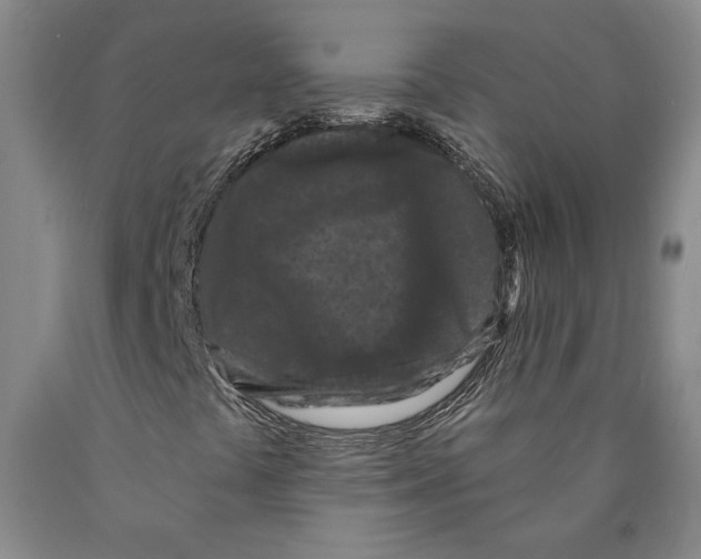 X0000089911441200707271704