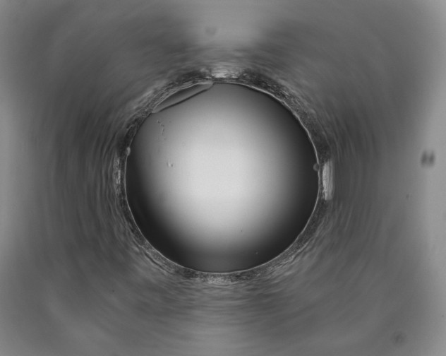 X0000089911443200707271704