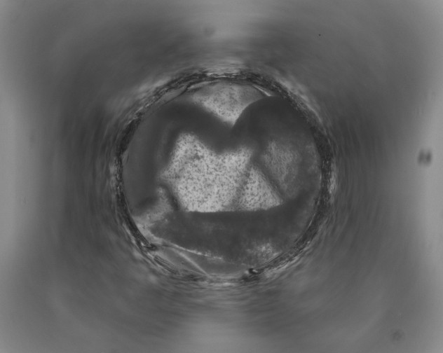 X0000089911445200707271704